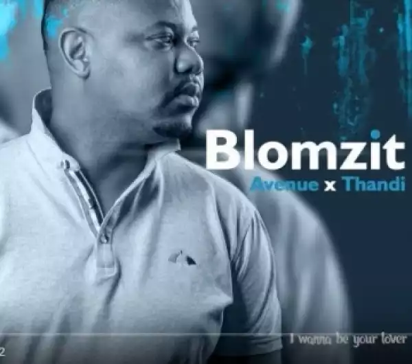 Blomzit Avenue - I wanna be your lover (Original Mix) Ft. Thandi